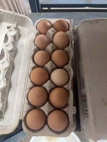 2 Doz Large Brown Eating Eggs