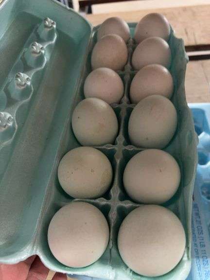 3 Doz Assorted Size Blue, Green, White & Brown Eating Eggs