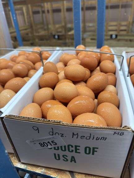 9 Doz Medium Brown Eating Eggs