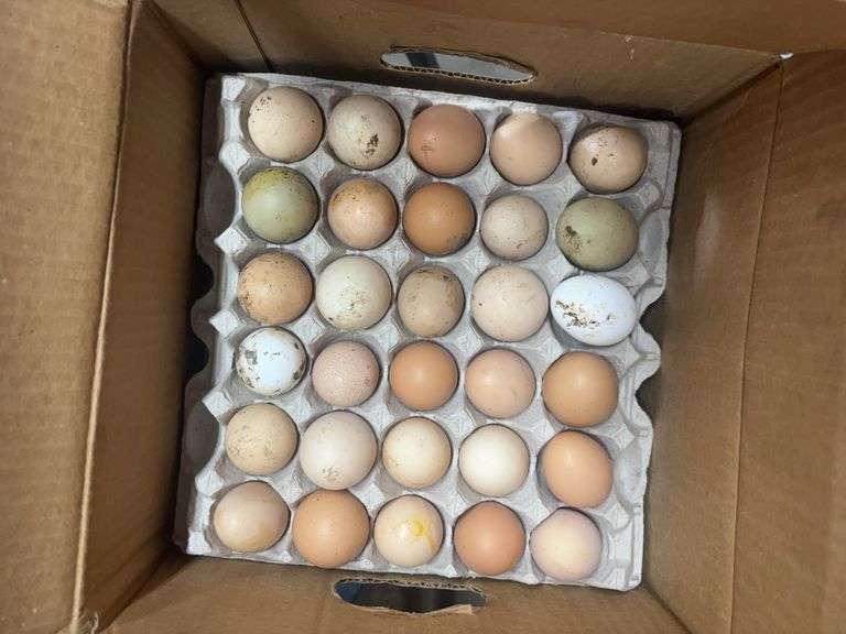 12 1/2 Doz Mixed Eating Eggs