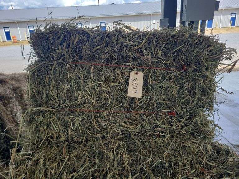 9 3rd Grass