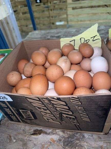 7 Doz Mixed Eating Eggs
