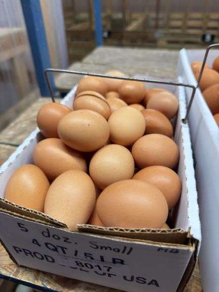 5 Doz Small Brown Eating Eggs
