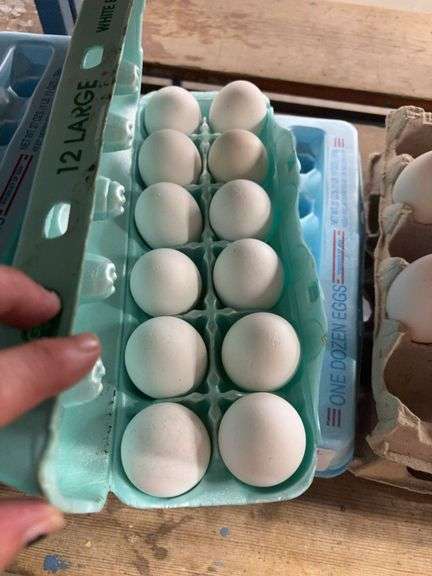 2 Doz White Xlarge Eating Eggs