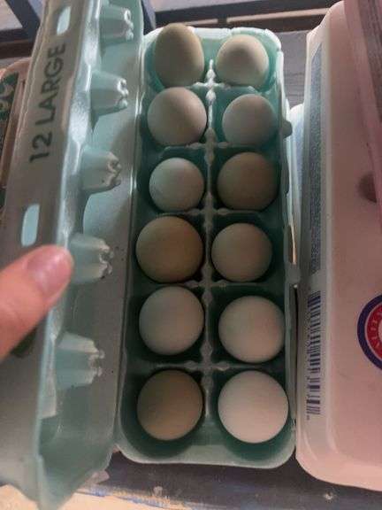 2 Doz Mixed Eating Eggs