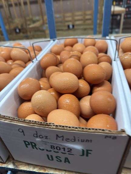 9 Doz Medium Brown Eating Eggs