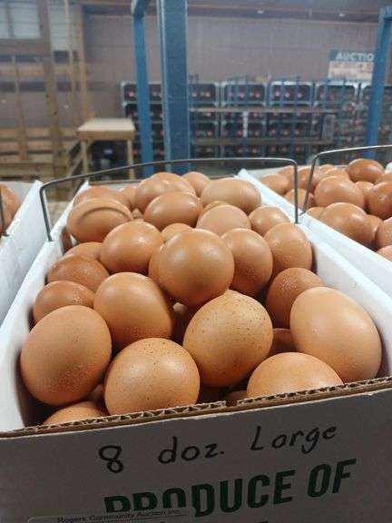 8 Doz Large Brown Eating Eggs