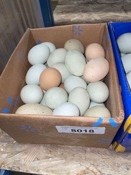 3 Doz Med/Lg Eating Eggs - Unwashed