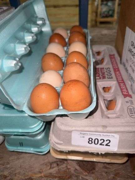 6 Doz Eating Eggs