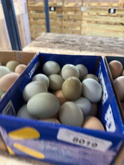 3 Doz Med/Lg Eating Eggs - Unwashed