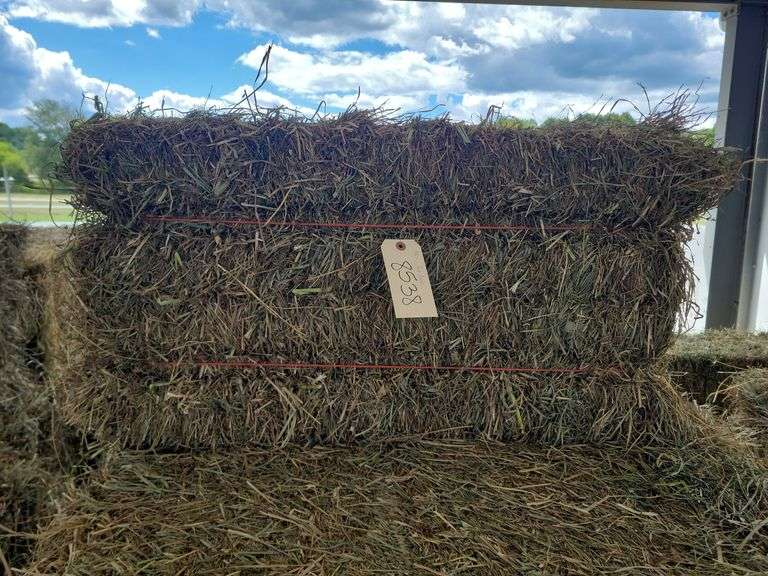 15 2nd Grass