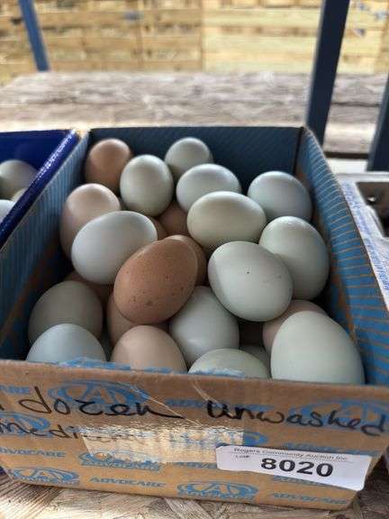 4 Doz Med Eating Eggs - Unwashed