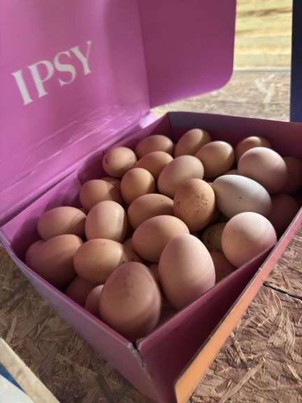 6 Doz Mixed Eating Eggs