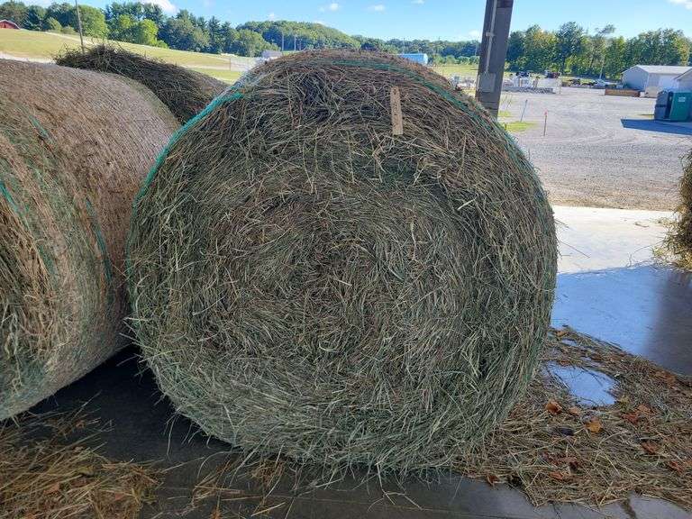 2 Round Bales 2nd Grass w/ A Little Thistle (4x4.5)