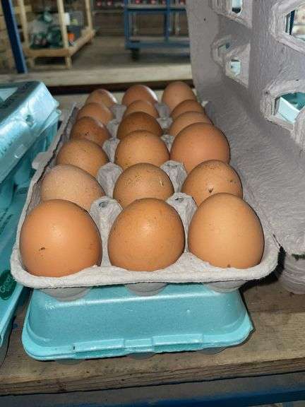 3 Doz Large Brown Eating Eggs
