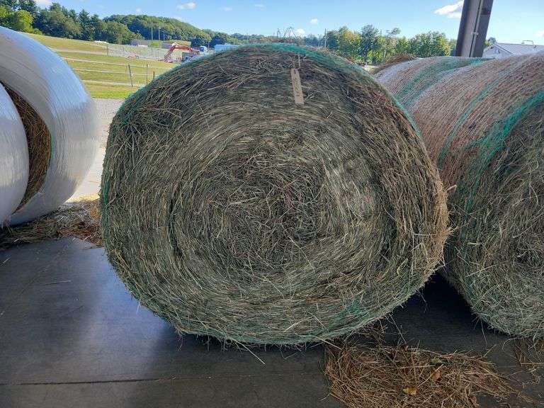 2 Round Bales 2nd Grass w/ A Little Thistle (4x4.5)
