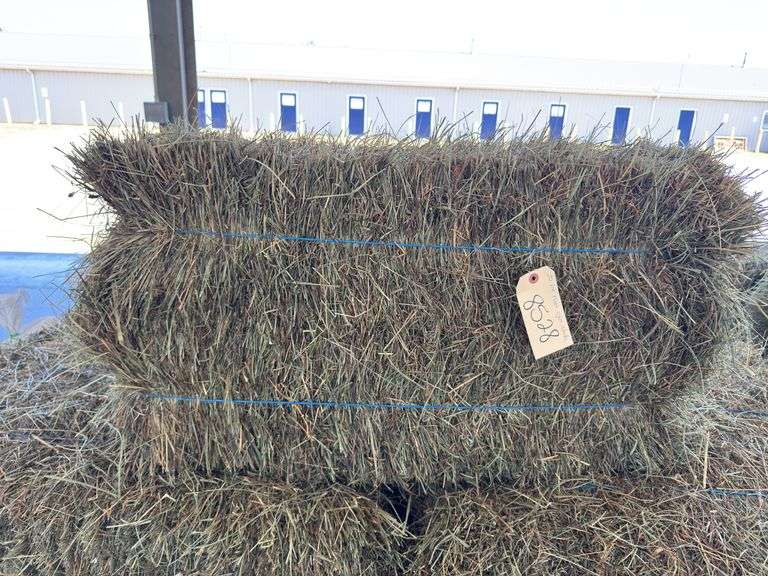 20 2nd Mixed Alfalfa Grass