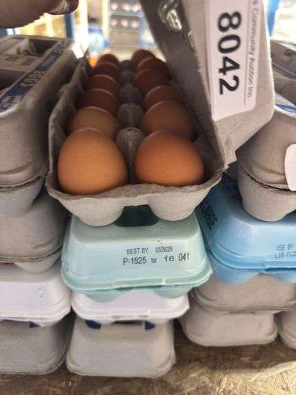 4 Doz Small Brown Eating Eggs
