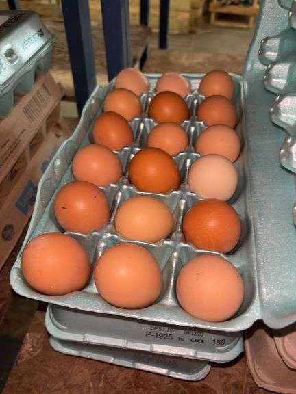 4.5 Doz Pullet Eggs
