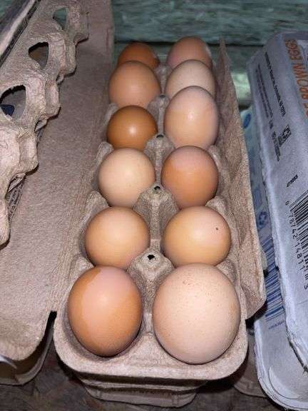 3 Doz Mixed Eating Eggs