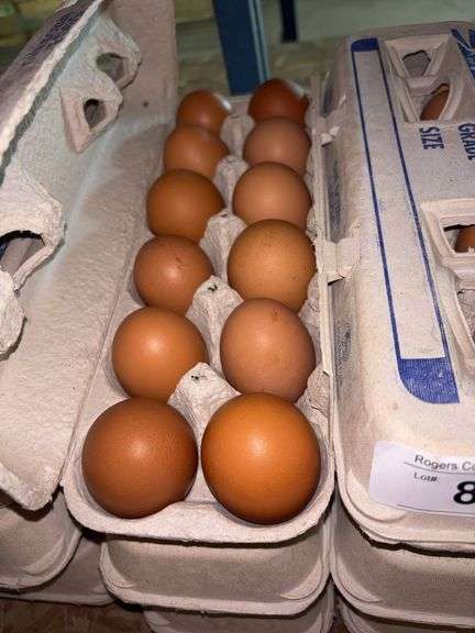 3 Doz Brown Eating Eggs