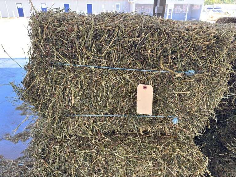 15 2nd Alfalfa