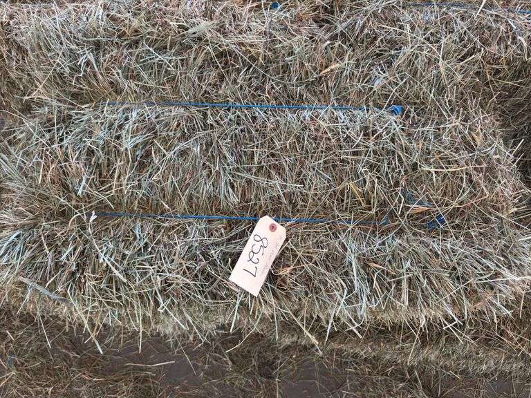 15 2nd Mixed Alfalfa Grass