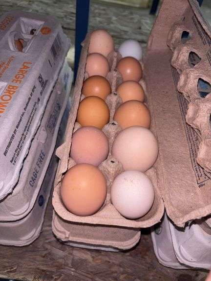 3 Doz Mixed Eating Eggs