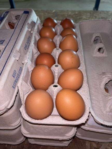 3 Doz Brown Eating Eggs