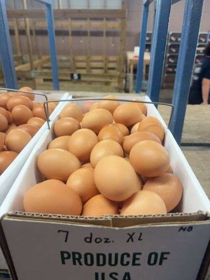 7 Doz Xlarge Brown Eating Eggs