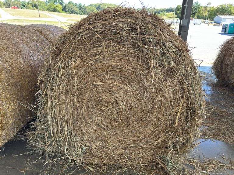 2 Round Bales 1st Mixed Grass