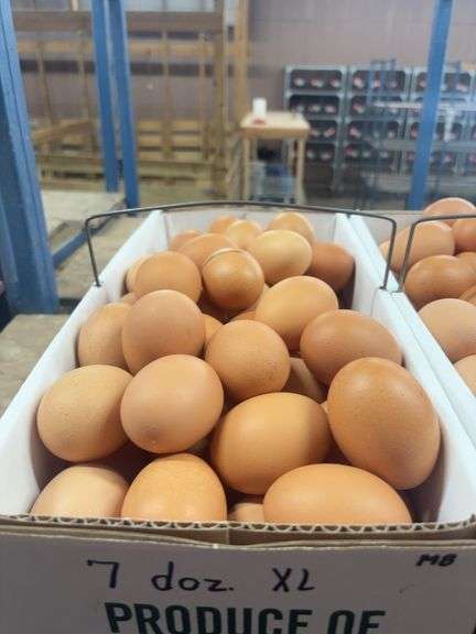 7 Doz Xlarge Brown Eating Eggs
