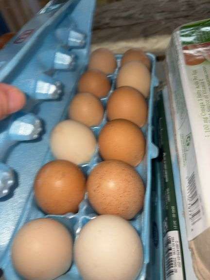 2 Doz Large Brown Eating Eggs