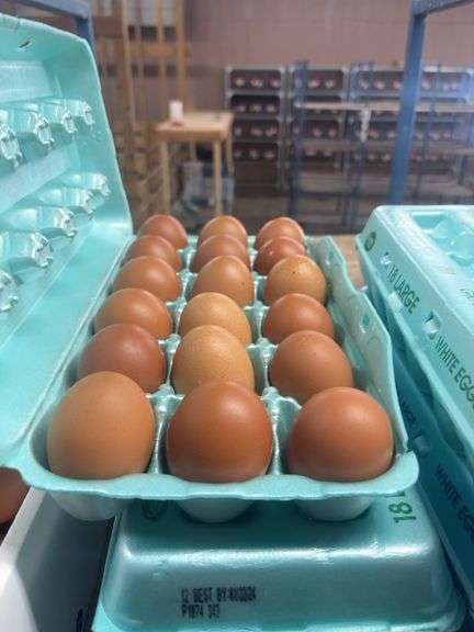 9 Doz Pullet Brown Eating Eggs