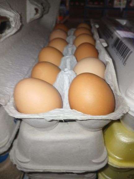 4 Doz Small Brown Eating Eggs