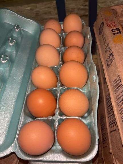 3 Doz Mixed Eating Eggs