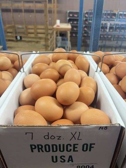 7 Doz Xlarge Brown Eating Eggs