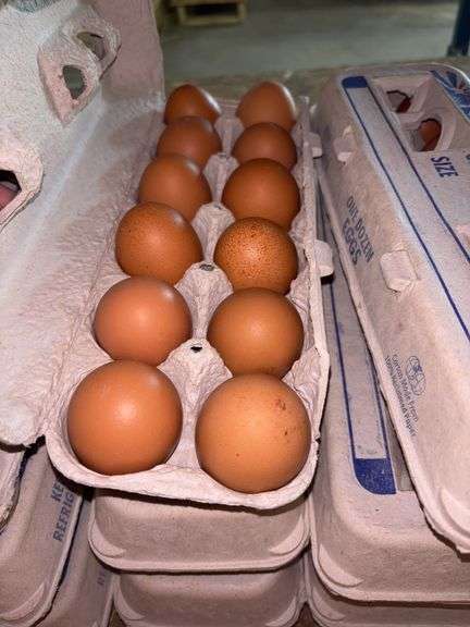 3 Doz Brown Eating Eggs