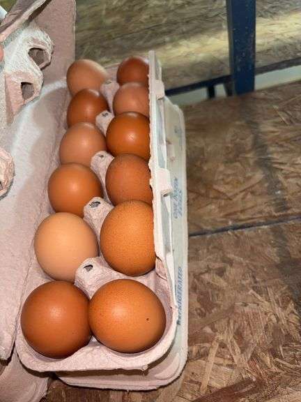2 Doz Brown Eating Eggs