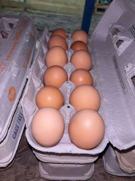 3 Doz Mixed Eating Eggs
