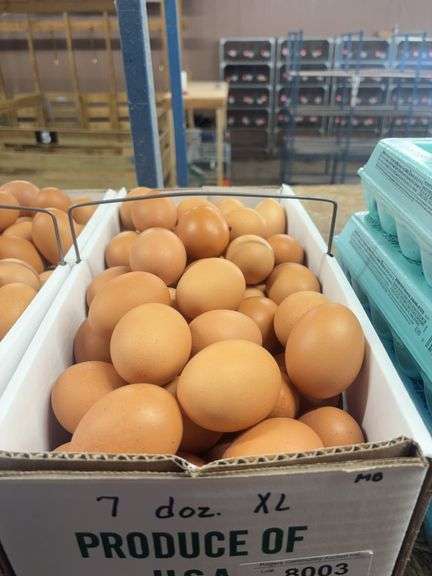 7 Doz Xlarge Brown Eating Eggs