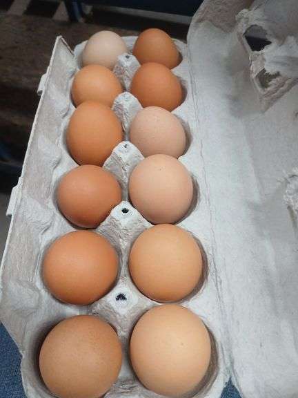 4 Doz Small Brown Eating Eggs