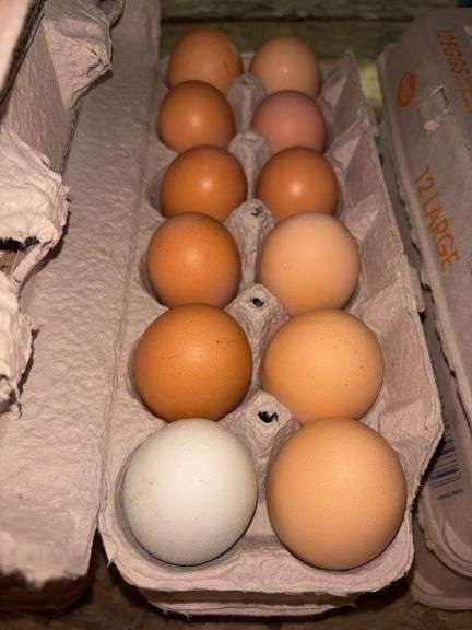 3 Doz Mixed Eating Eggs