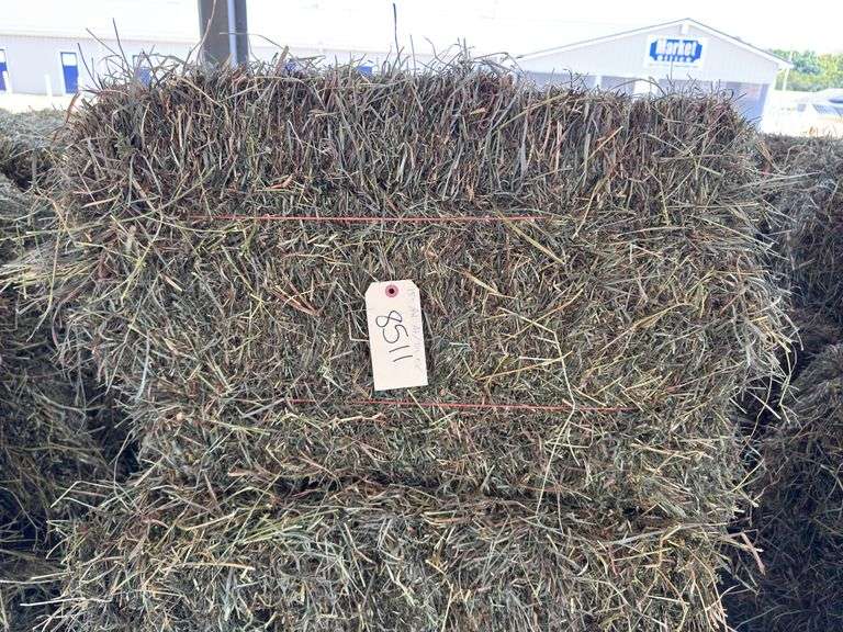 15 2nd Alfalfa Timothy Mix