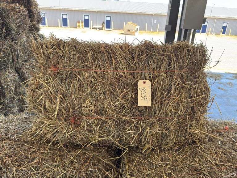 8 1st Timothy Orchard Mix - Mulch Hay