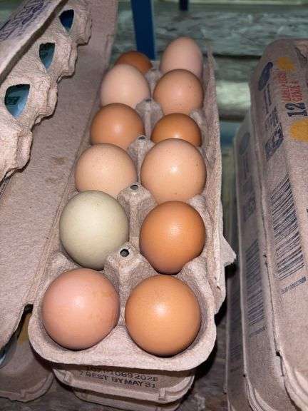 3 Doz Mixed Eating Eggs