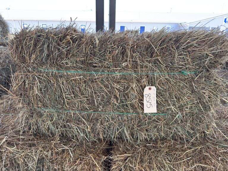 25 1st Grass Mix
