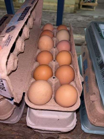 3 Doz Mixed Eating Eggs
