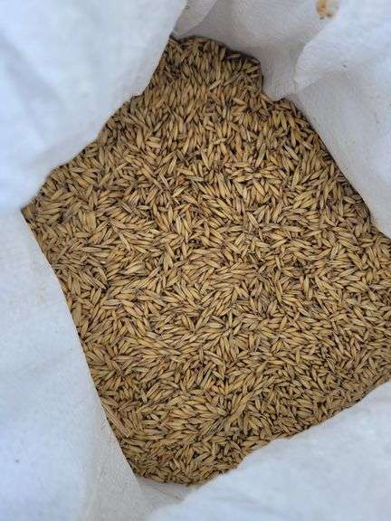 5 Bags Recleaned Oats