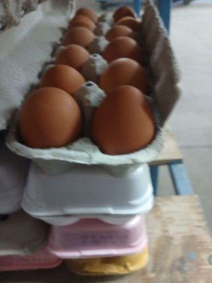 4 Doz Small Brown Eating Eggs